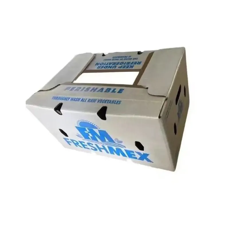 Logo trükitud vahast lainepapist kast